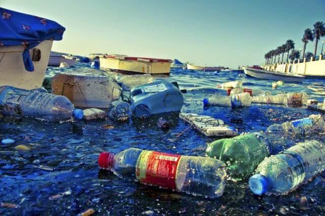 Pencemaran Laut: Penyebab, Dampak dan Cara Penanggulangannya - Portal Kelas